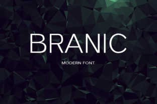 Branic: A Modern Sans Serif Font for Clean Branding