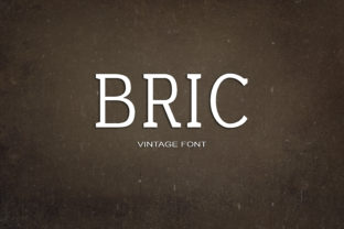 Bric: A Serif Font for Modern Web Design and Branding
