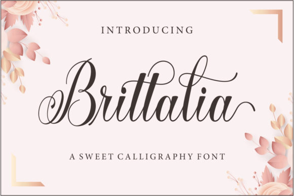 Brittalia Script: The Font That Elevates Your Campaigns