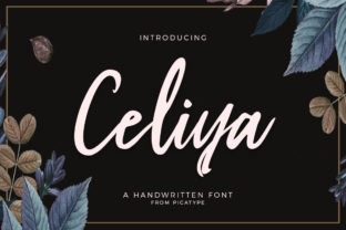 Celiya Script: A Modern Script Font for Creative Designers
