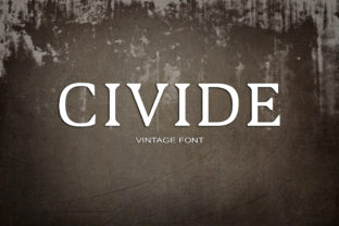 Civide: A Serif Font for Editorial Design and Branding