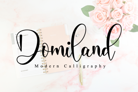 Domiland: A Script Font That Elevates Branding with Class and Elegance